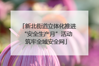 新北街道立体化推进“安全生产月”活动 筑牢全域安全网